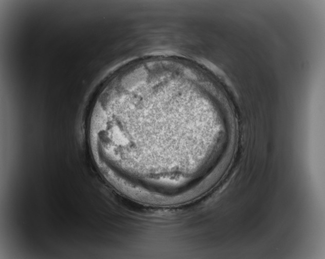 X0000087551167200705251734