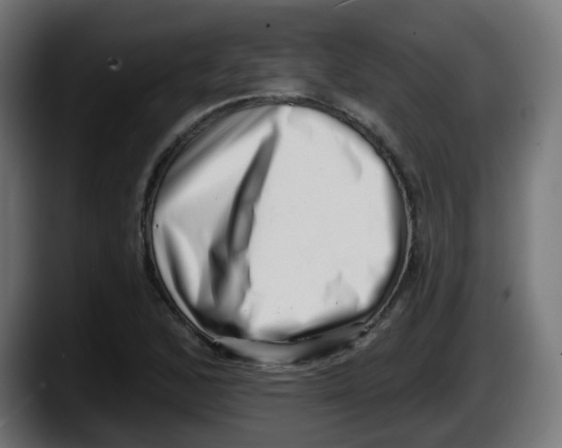 X0000087551168200705251734