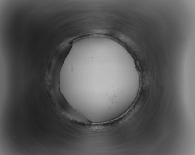 X0000087551169200705251734