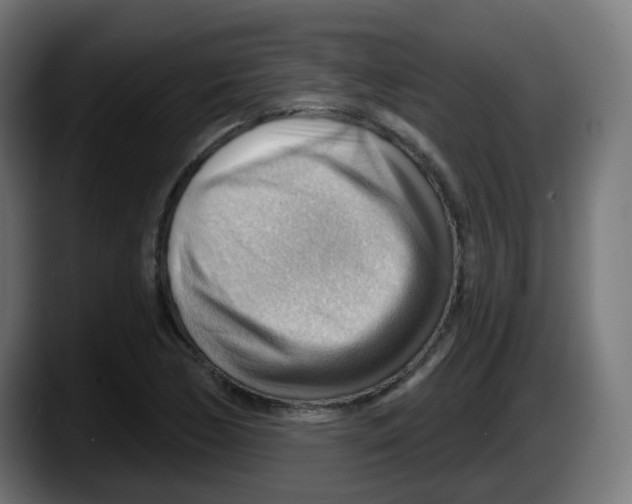 X0000087551170200705251734