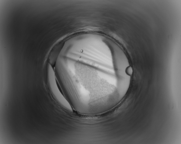 X0000087551171200705251734