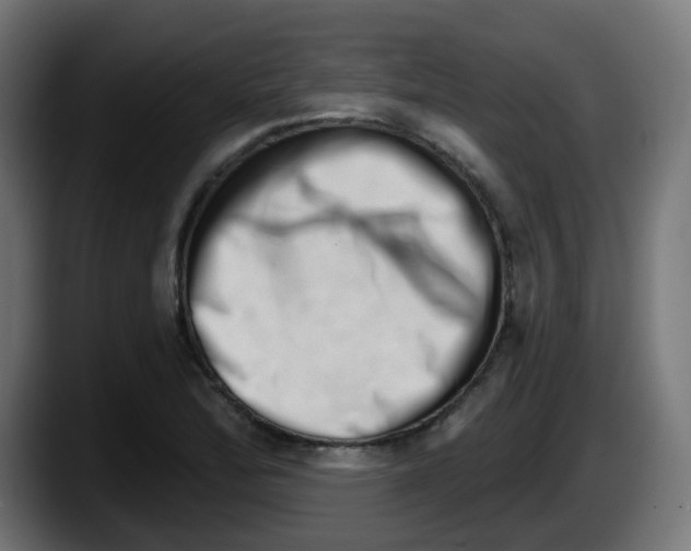 X0000087551172200705251734