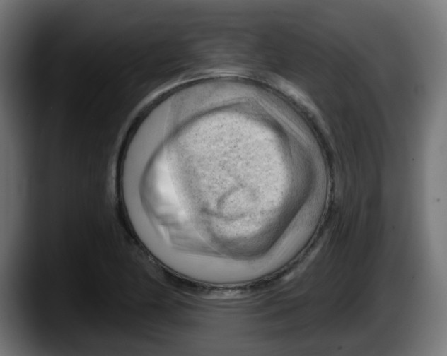 X0000087551174200705251734