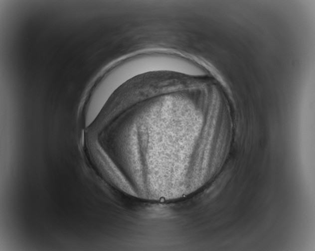 X0000087551175200705251734