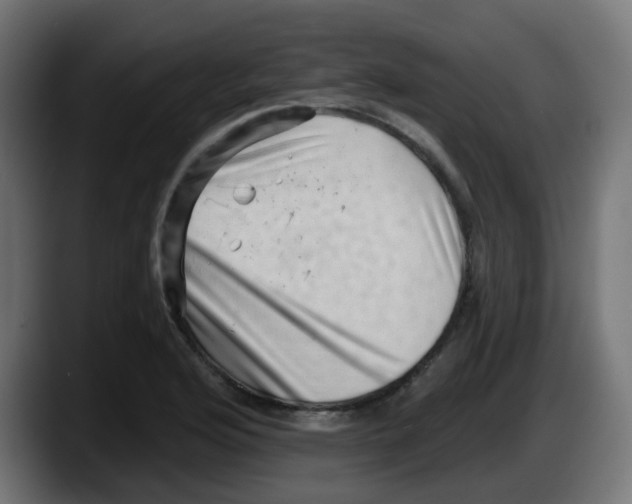 X0000087551176200705251734