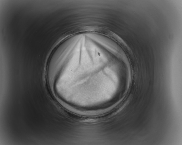 X0000087551178200705251734