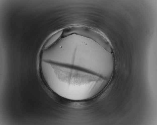 X0000087551179200705251734