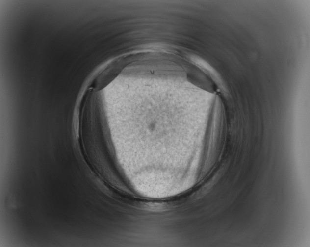 X0000087551180200705251734