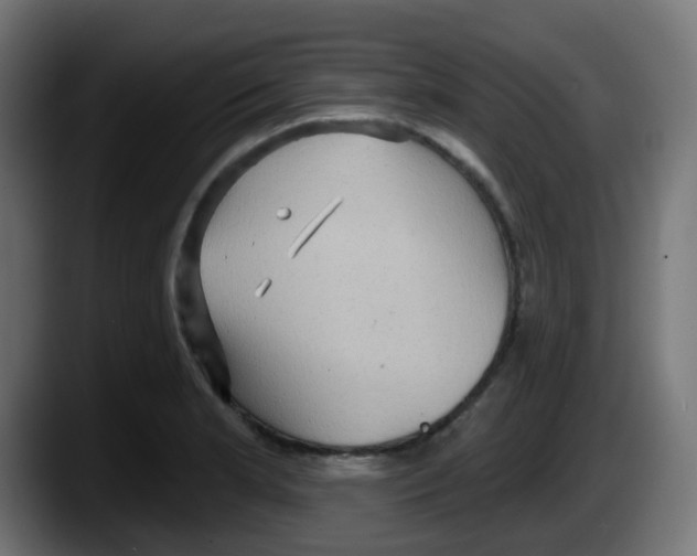 X0000087551181200705251734