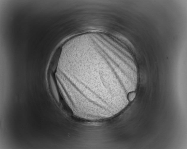 X0000087551182200705251734