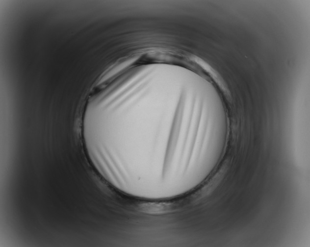 X0000087551185200705251734