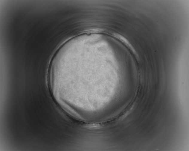 X0000087551186200705251734