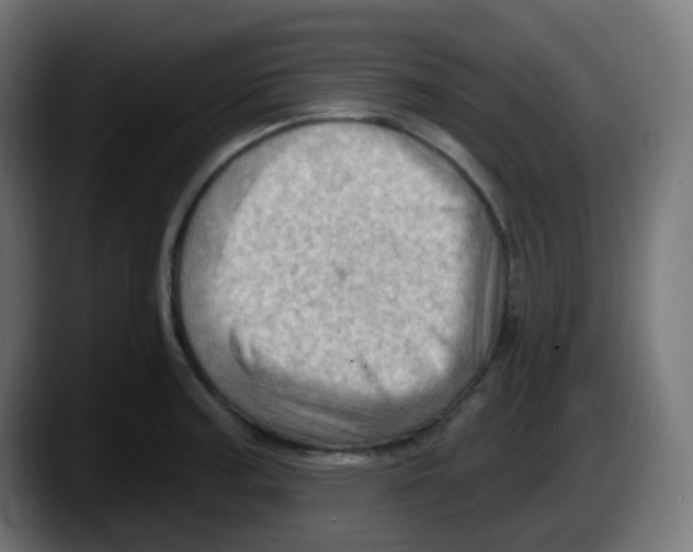 X0000087551187200705251734