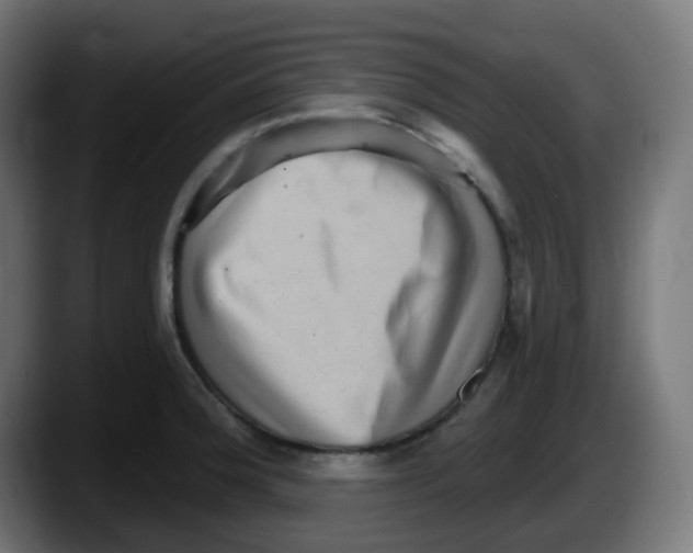 X0000087551188200705251734