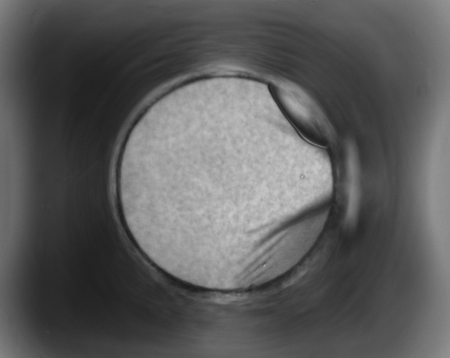 X0000087551191200705251734