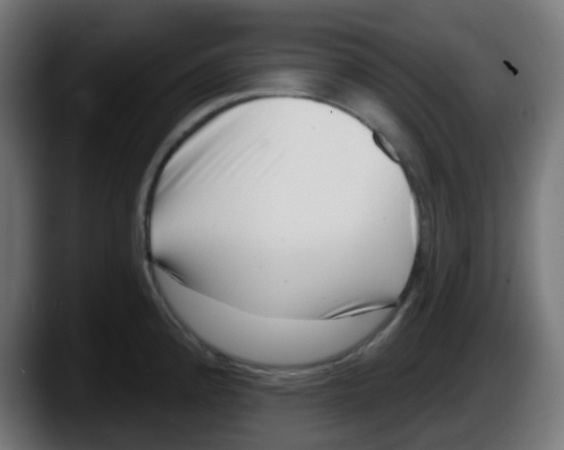 X0000087551192200705251734