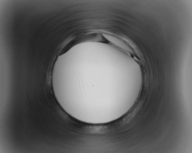 X0000087551193200705251734