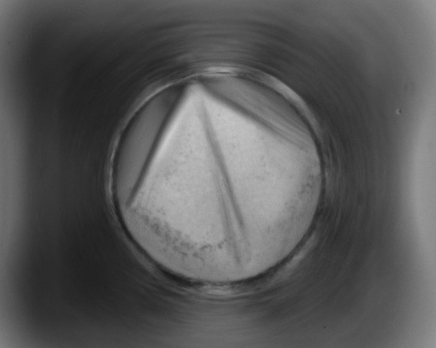 X0000087551194200705251734