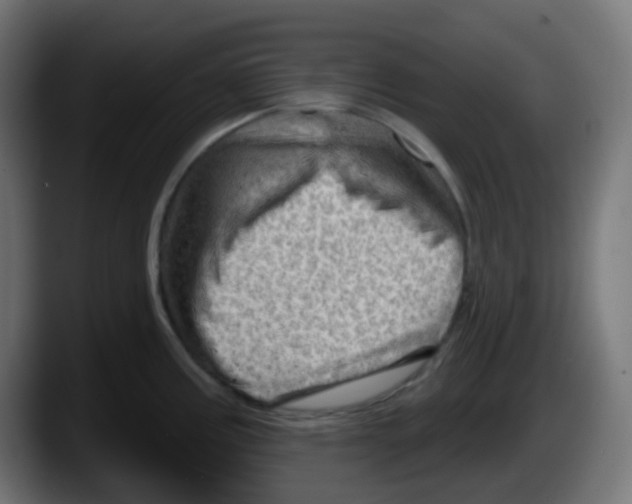 X0000087551195200705251734