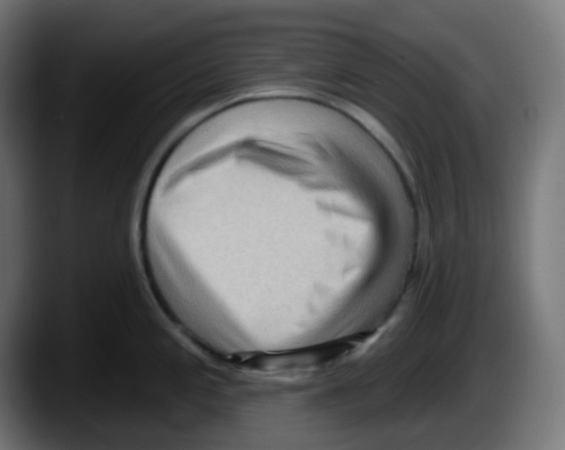 X0000087551197200705251734