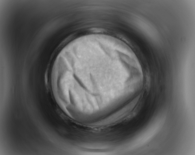 X0000087551198200705251734