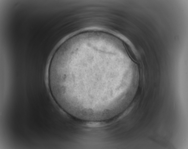 X0000087551199200705251734