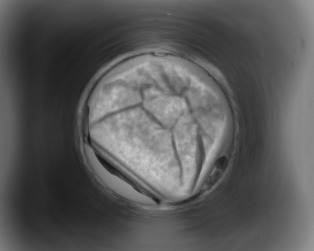 X0000087551200200705251734