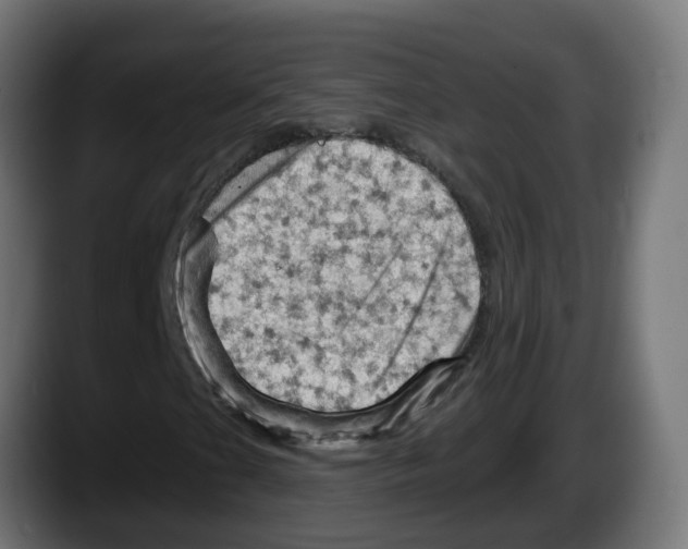 X0000087551201200705251733