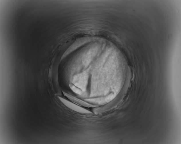 X0000087551202200705251733