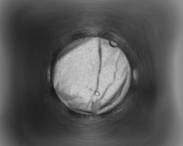 X0000087551203200705251733