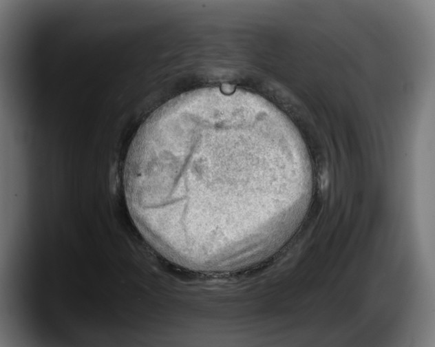 X0000087551204200705251733