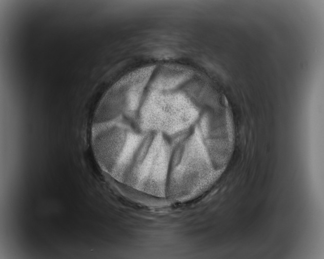 X0000087551205200705251733