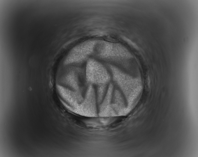 X0000087551206200705251733