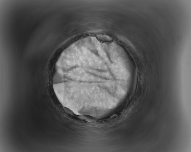 X0000087551208200705251733