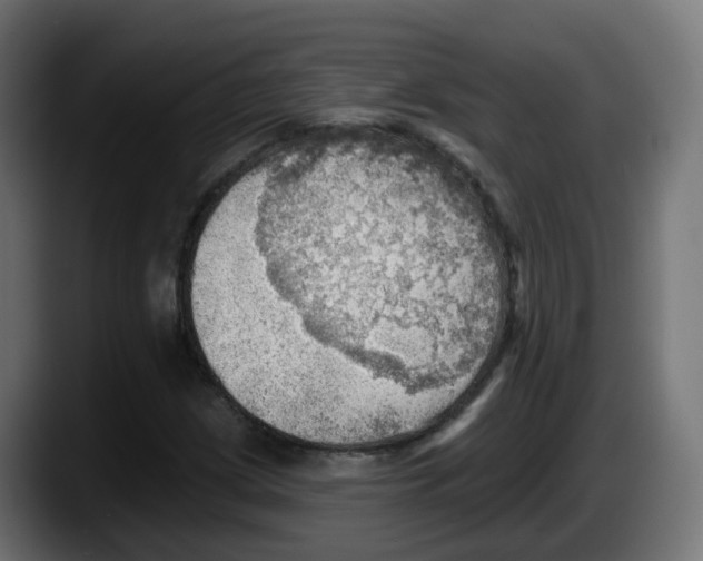 X0000087551209200705251733