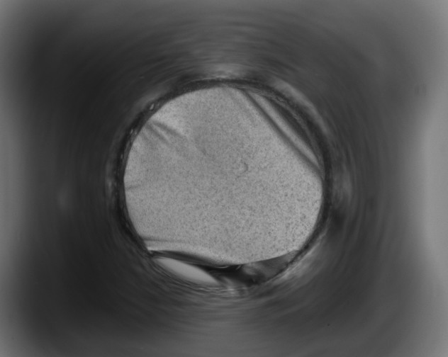 X0000087551210200705251733