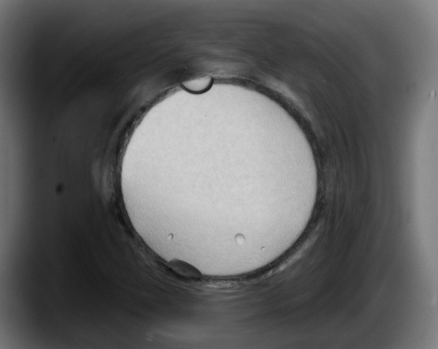 X0000087551211200705251733