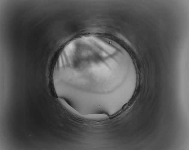 X0000087551213200705251733