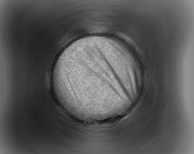 X0000087551217200705251733