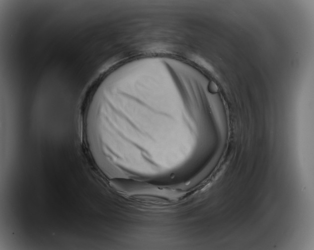 X0000087551219200705251733