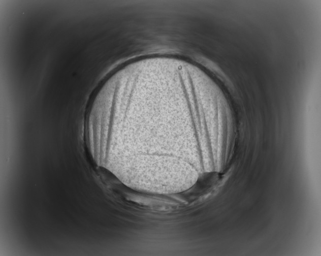 X0000087551220200705251733