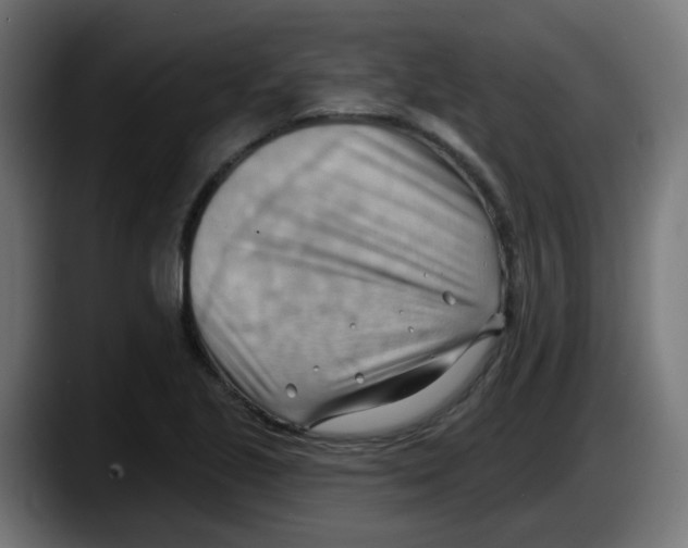 X0000087551221200705251733