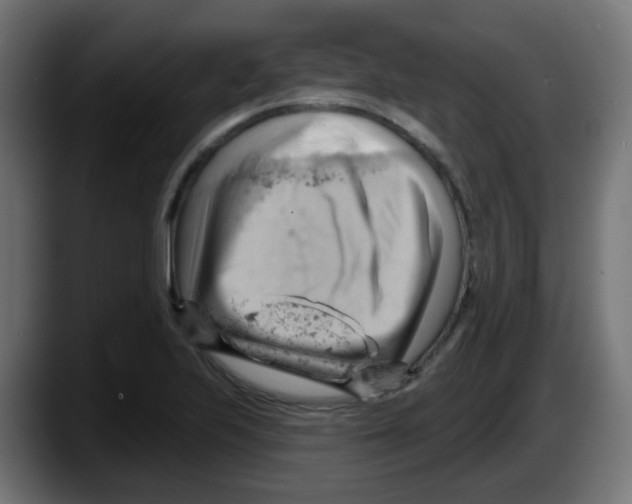 X0000087551223200705251733