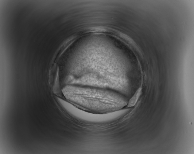 X0000087551225200705251733