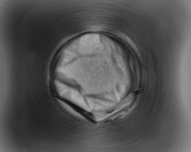 X0000087551226200705251733