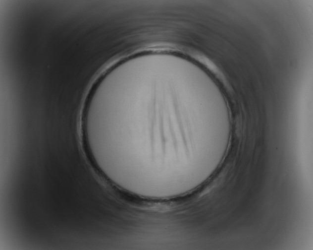 X0000087551229200705251733