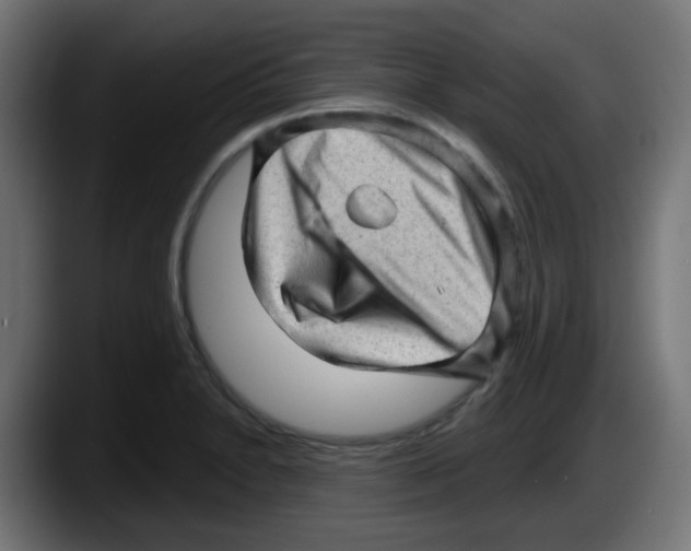 X0000087551230200705251733