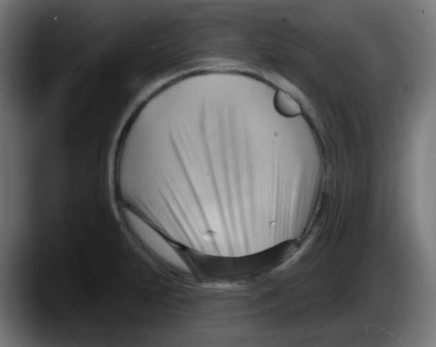 X0000087551231200705251733