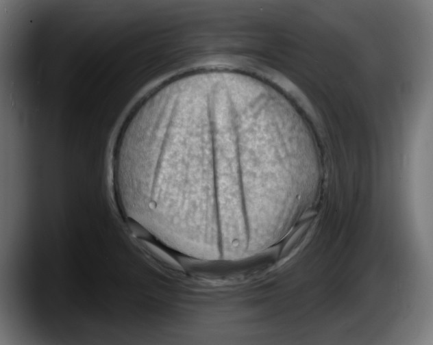 X0000087551232200705251733