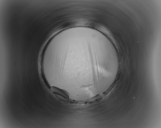 X0000087551235200705251734